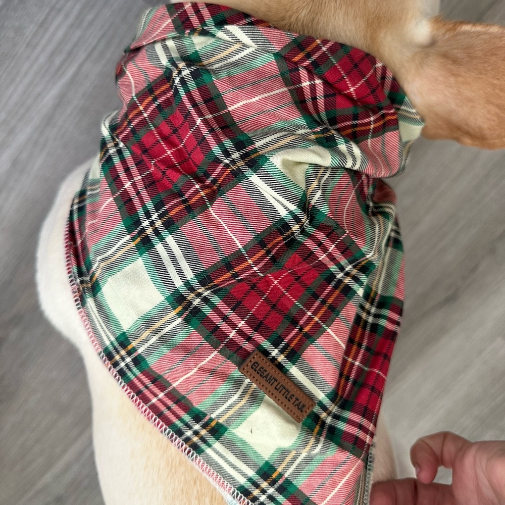 Dog bandanna plaid to match Christmas photos! ❣️🤍